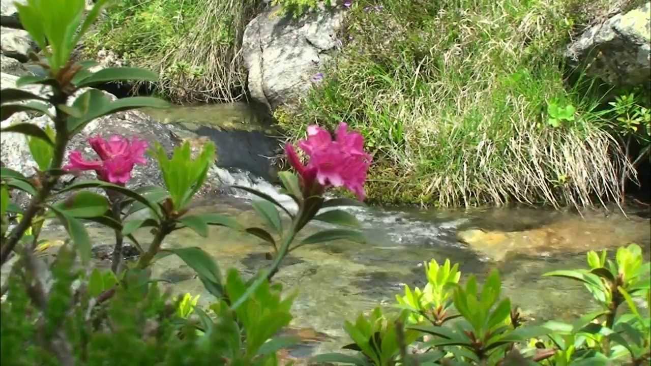 Min'Attori - Viva Valle d'Aosta unica per natura