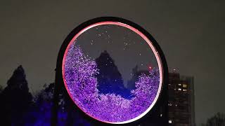 Astra Lumina at New York City │A Night Walk at Queens Botanical Garden │Full Tour