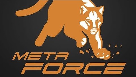 meta force id per apna photo kaise lagaye...