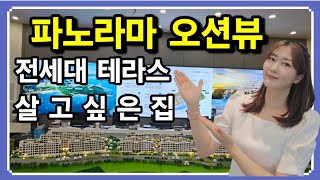 미분양아파트 완도 더테라스 시그니처 전세대 테라스 파노라마 오션뷰 선착순 1500만원 상당 옵션 무상