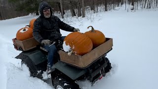 Suzuki QuadRunner 250 is a BEAST 