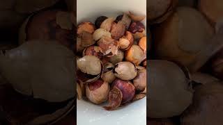 dyeing with avocado seeds & madder root #diy #naturaldyeing