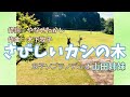【さびしいカシの木】山田姉妹:作詞やなせたかし/作曲木下牧子【女声2重唱】
