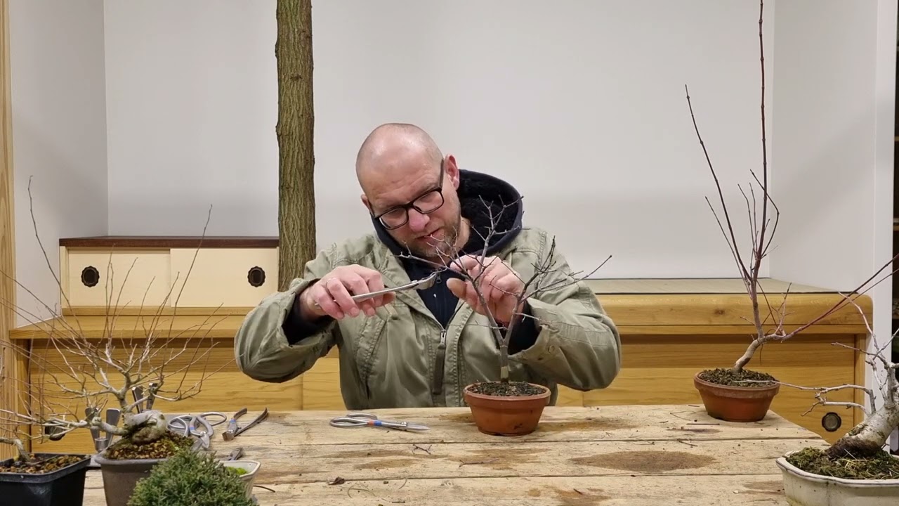 ABC Bonsai- Cięcie jesienne