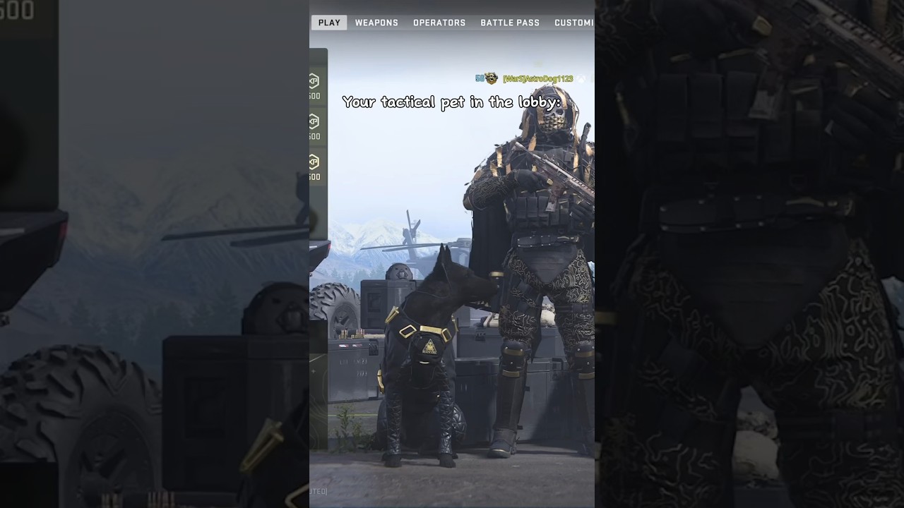 Tactical pet in lobby vs game￼ 