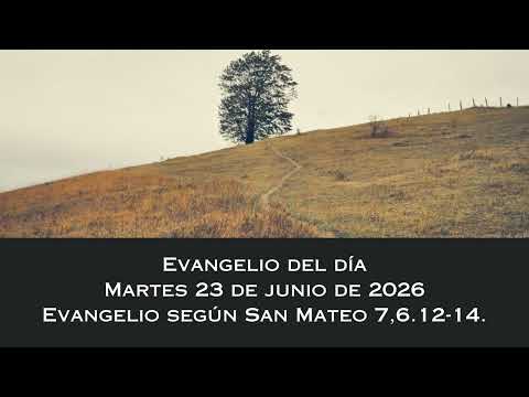 Evangelio del martes 23 de junio de 2026