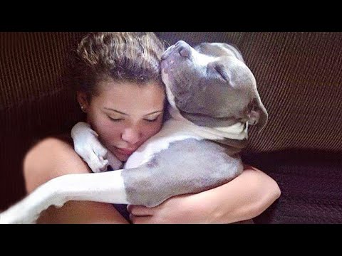 Video: Šis šuo išliko, o jo kerštingas lūpos neapsigaus nuo tavęs mylėti