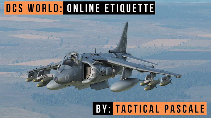 DCS WORLD | 10 simple rules for multiplayer | Online Etiquette