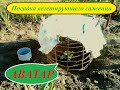 Посадка вегетирующего саженца АВАТАР. / Planting a vegetative seedling Sweet Sapphire (Moon Drops).