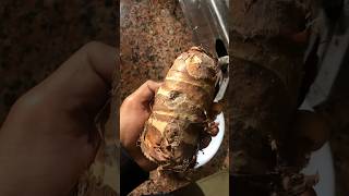 Chopped Taro ? shorts foodshorts foodvlog familyvlog chop sweet taro arbi chaat boiler