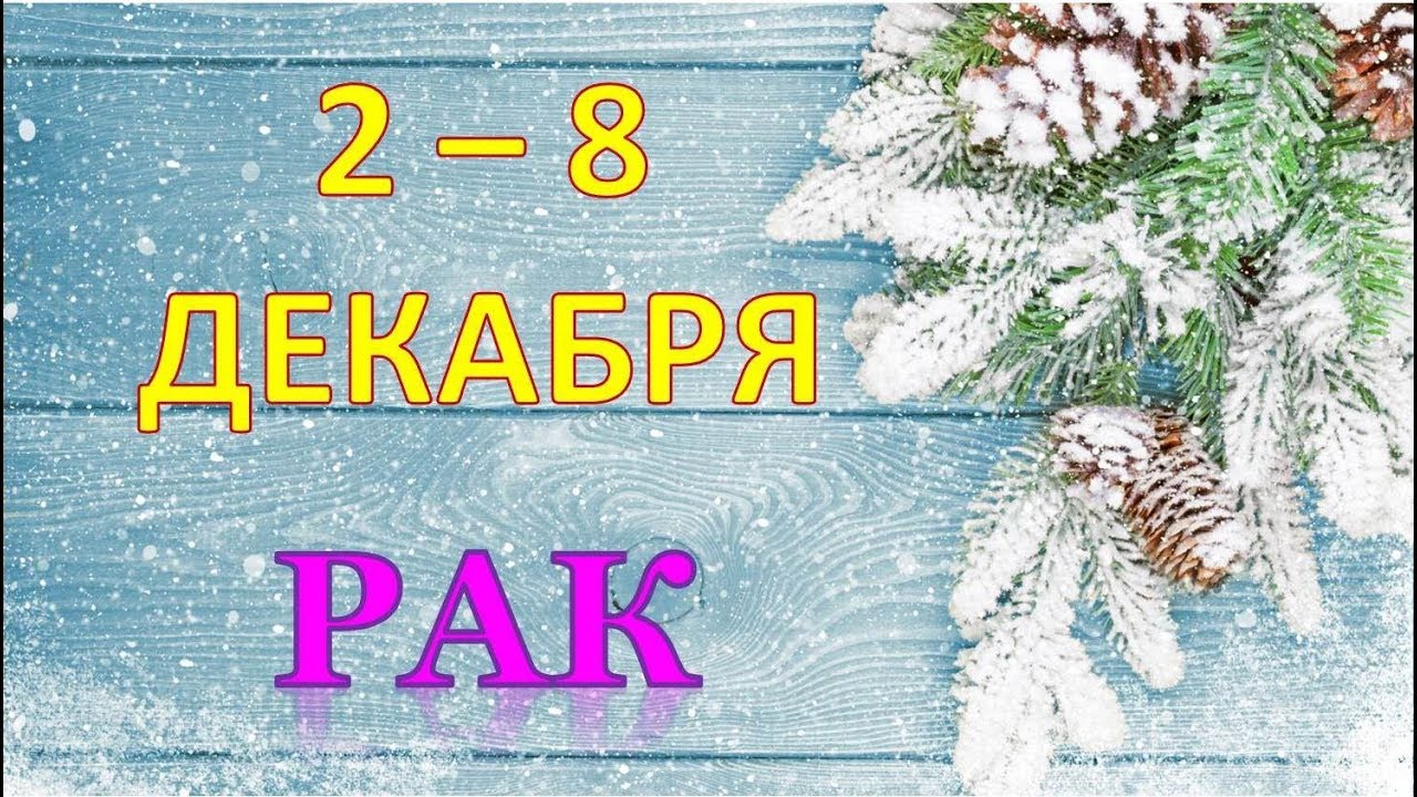 8 декабря 2019 года