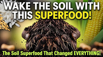 I Replaced Rice & Corn With THIS Soil Superfood – My Garden EXPLODED With Life!