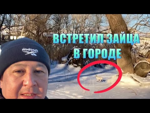 СЕМЕЙ/СЕМИПАЛАТИНСК. ЗОНА ОТДЫХА В ТАТКРАЕ. 2023