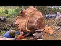 Chainsawing a Massive Tree Trunk : A Satisfying Woodcutting Experience