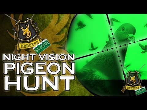 Airgun Hunting: Night Vision Pigeon Hunt with a NiteSite NS200