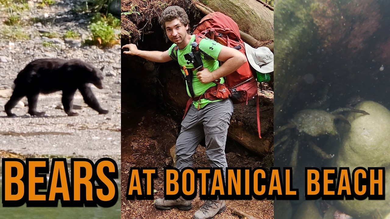 МЕДВЕДИ на Ботаническом пляже - Поход с рюкзаком по Хуан-де-Фука [4k] День 5