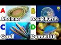 Ocean Animals Names A to Z 🐙 | ABC Learning Song for Kids | Preschool Educational Video