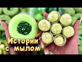 Истории с мылом и хрустяшками 😊 истории от подписчиков #88🧼