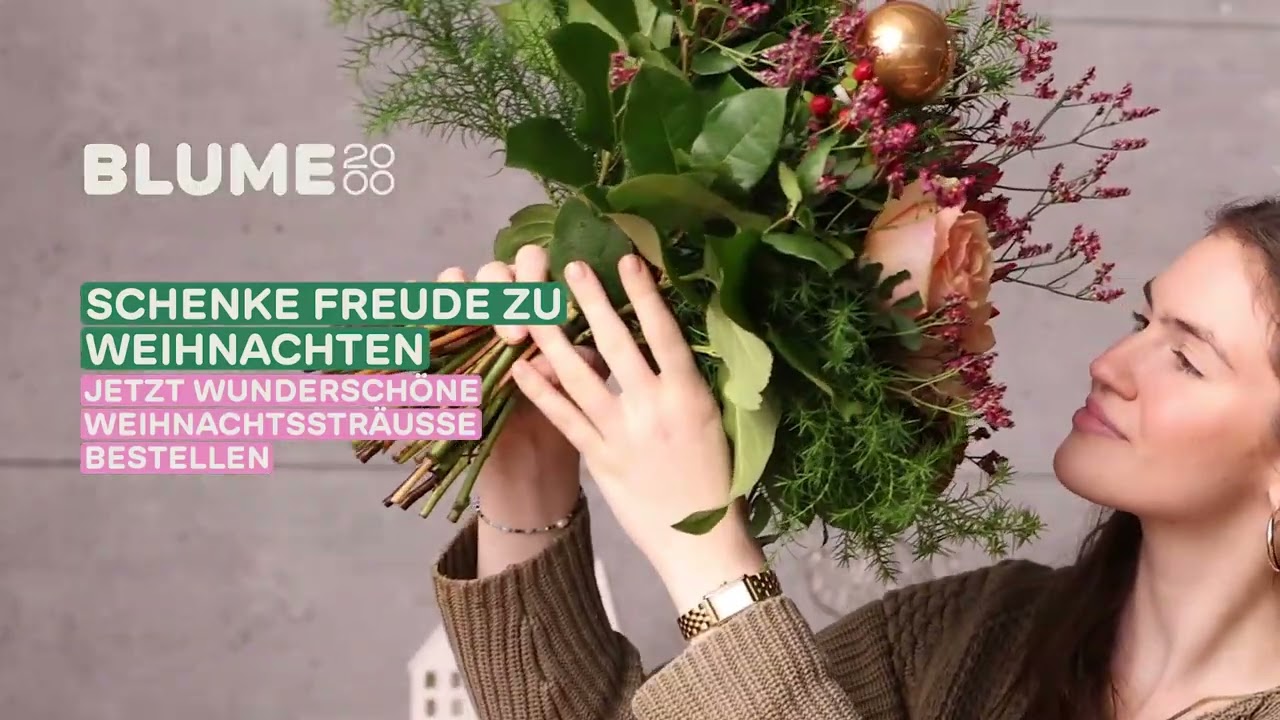 Weihnachtsblumen & Geschenke