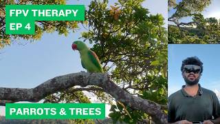 Parrots & Trees | FPV Therapy EP 4