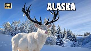 ALASKA: ANIMALES Que Sobreviven a Las TEMPERATURAS Más FRÍAS Del Planeta | MEGAEPISODIO