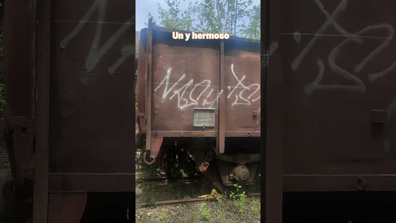 Un Vagón de Tren ABANDONADO!!! 