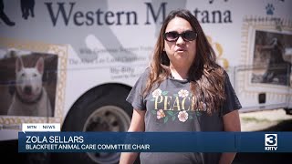 Veterinary clinics coming to Blackfeet Nation to expand access to animal care