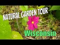 #Gardentour Garden Review. Herbs and Flowers #Withme oh my!