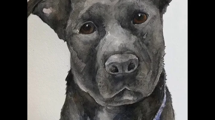 Watercolor Painting of My Misha by Charlotte Mullich