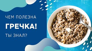 Гречка. Целебные свойства и интересные факты. Чем полезна гречка?