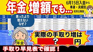 【2026年度最新早見表で社労士解説】年金額と年金額と手取り率。年金増額でも手取りはどうなる？