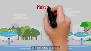 Fuentes de Contaminación de la cuenca del Lago Villarrica