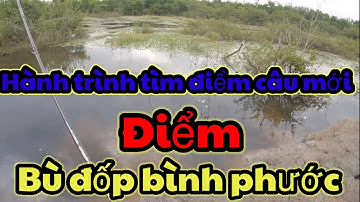 @ÔNG3BỰ  Hành trình tìm điểm câu   #câu
