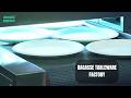 Sugarcane Bagasse Tableware Factory Tour | OASIS Manufacturer