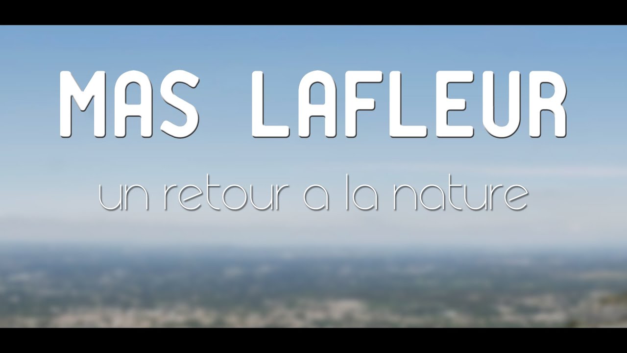 La famille Lafleur : un chemin en conscience