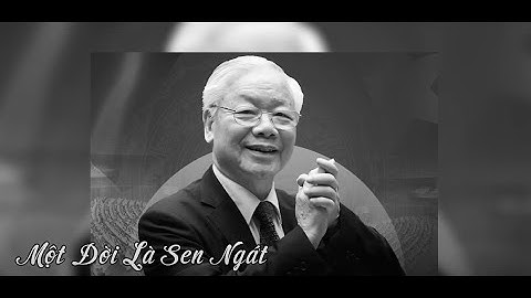 Một Đời Là Sen Ngát - Anh Thơ - TANG LỄ TẠI QUÊ BÁC - TIẾC THƯƠNG TỔNG BÍ THƯ NGUYỄN PHÚ TRỌNG