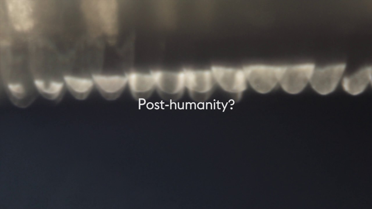 Designing Health: Future hospitals are hospitable