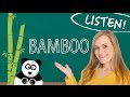German Lesson (402) - Listening Comprehension - Bamboo - B2