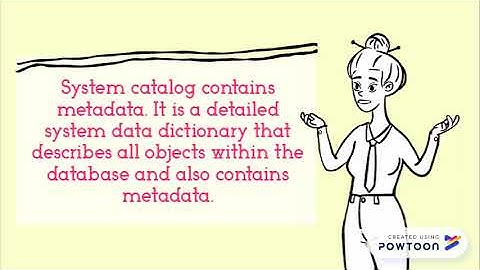 Data Dictionary & System Catalog