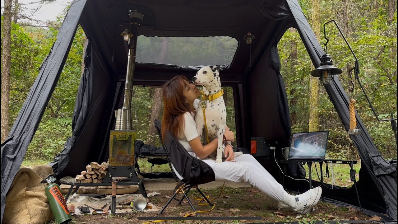 Уютный кемпинг с собакой в ​​лесу, где никого нет 🐶 Кемпинг в ASMR-грузовике