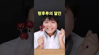 탕후루의 달인  탕후루를 만드는 초보 중수 고수의 비법! #shorts