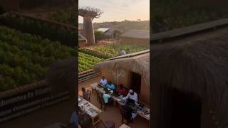 Solar Power #DigitalAfrica #RenewableEnergy #VillageSara #TechForGood #SolarEducation #InnovationLab