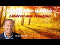 Mditation guide  librer une motion  joe dispenza fr