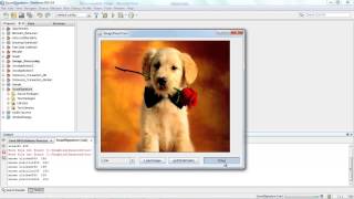 Adding Persuasive features in Graphical Password Wealth