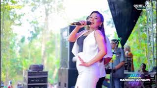 D'RADJA PASTI AJA - BINTANG DISURGA - EVIS RENATA - PARTY RANDU ALAZ - RAGUKLAMPITAN BATEALIT JEPARA