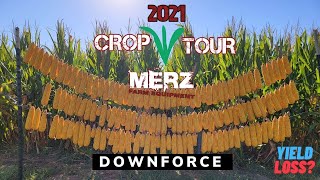 2021 Merz Crop Tour Field Day - DOWNFORCE - What Does Delta Downforce Do For You?