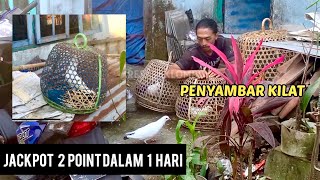 REFLEX KILAT🤩 1 Hari 2 Korban // Tangkap Bandangan (Cundang) Dengan 1 Tangan Kosong