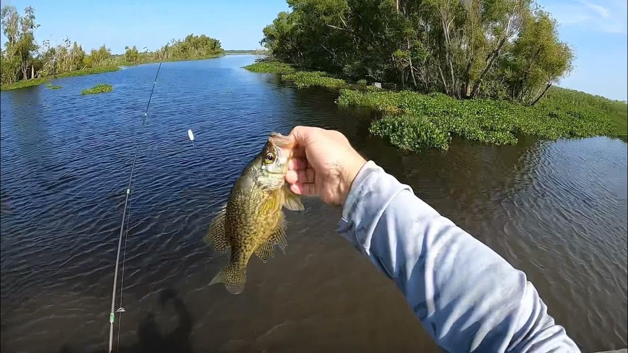 Crappie (Sacalait) fishing in Gibson Louisiana ( bayou black) YouTube