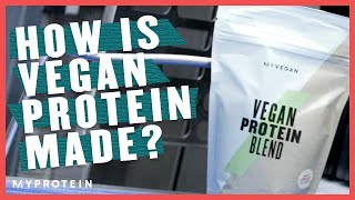 How Vegan Protein Powder Is Made: Inside A Supplement Factory | Myprotein