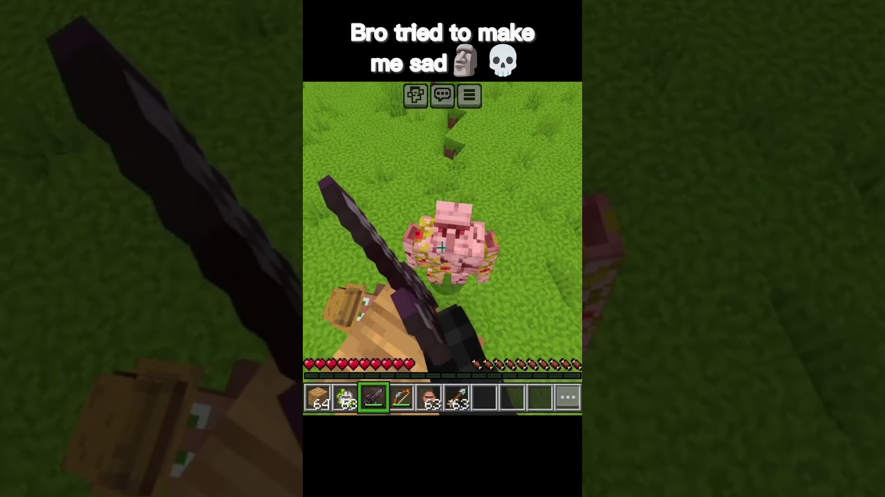 Minecraft Villager Meme 🗿💀 